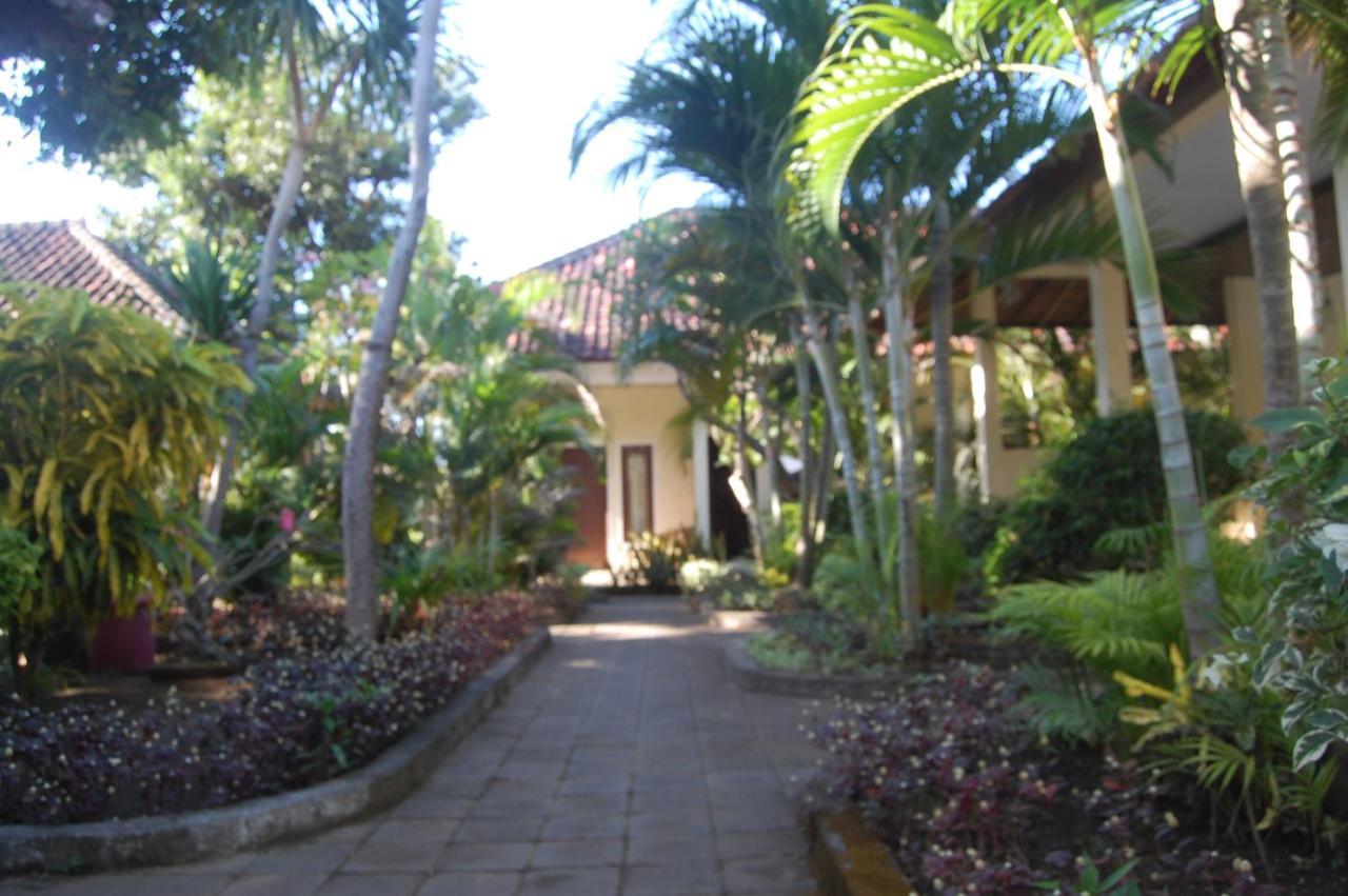 Star East Bungalows Amed Kültér fotó
